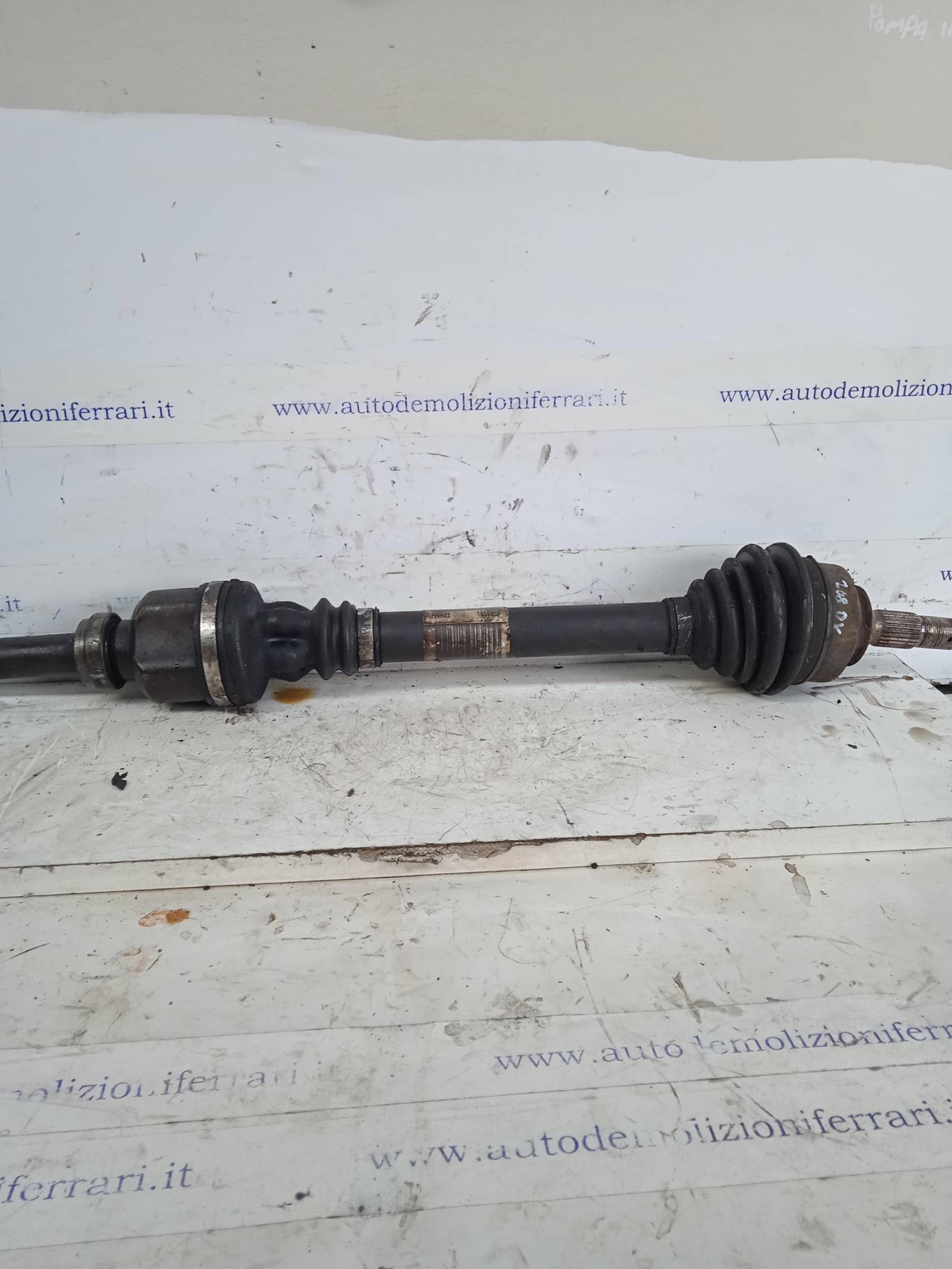 Semialbero ant. compl. dx.